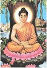 Buddha Purnima 2024: Significance And Quotes Of Lord Buddha