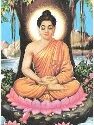 Buddha Purnima 2024: Significance And Quotes Of Lord Buddha